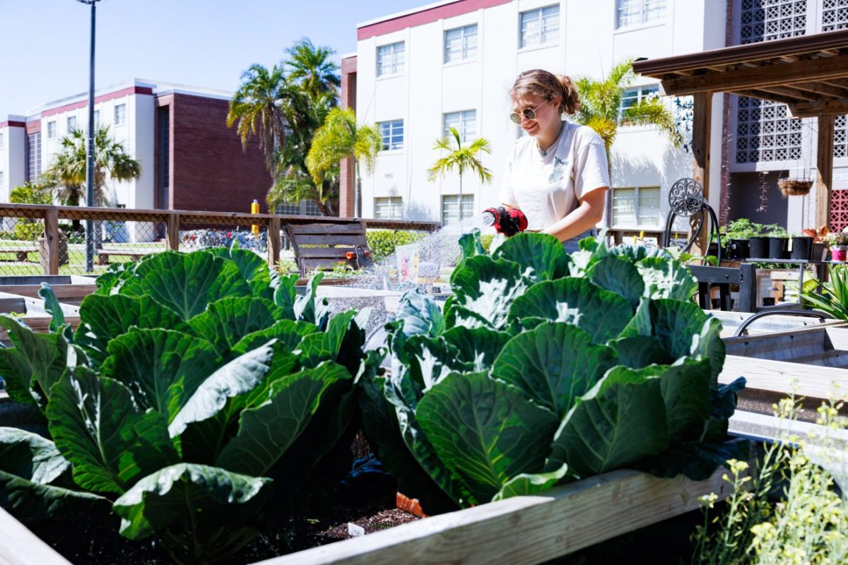 Florida Tech Named a ‘Green College’ by Princeton Review