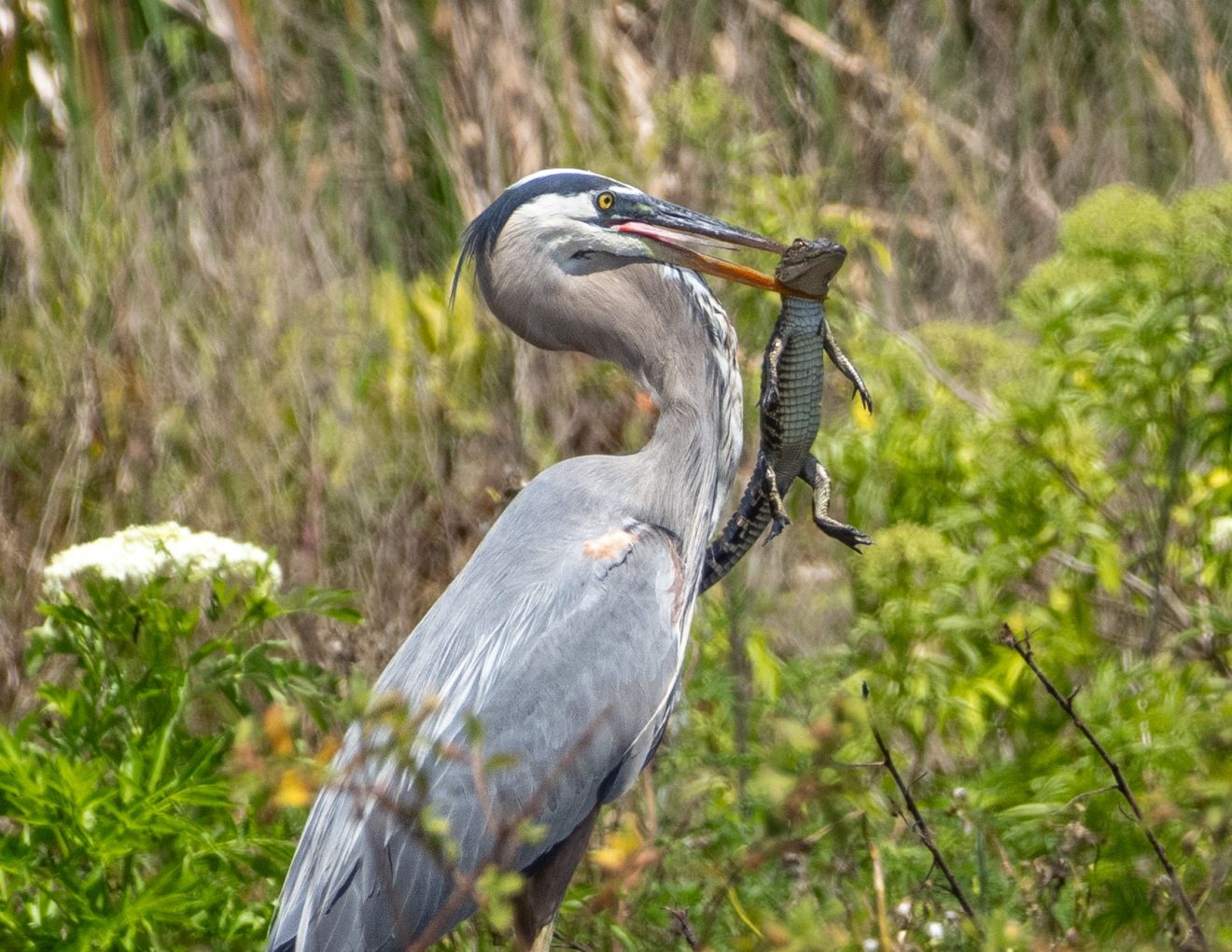 Photo by Student Brice Smith Chosen for IRL Calendar