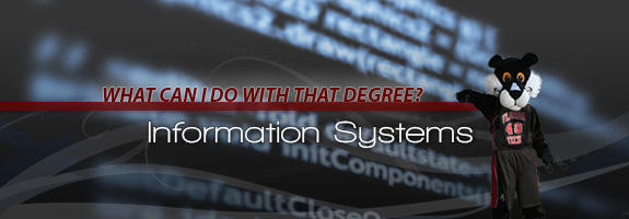 What can you do with an Information Systems degree?