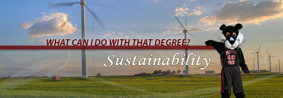 What can you do with a Sustainability degree?