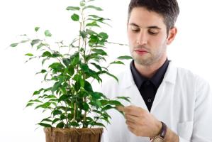 botanist-careers-florida-tech