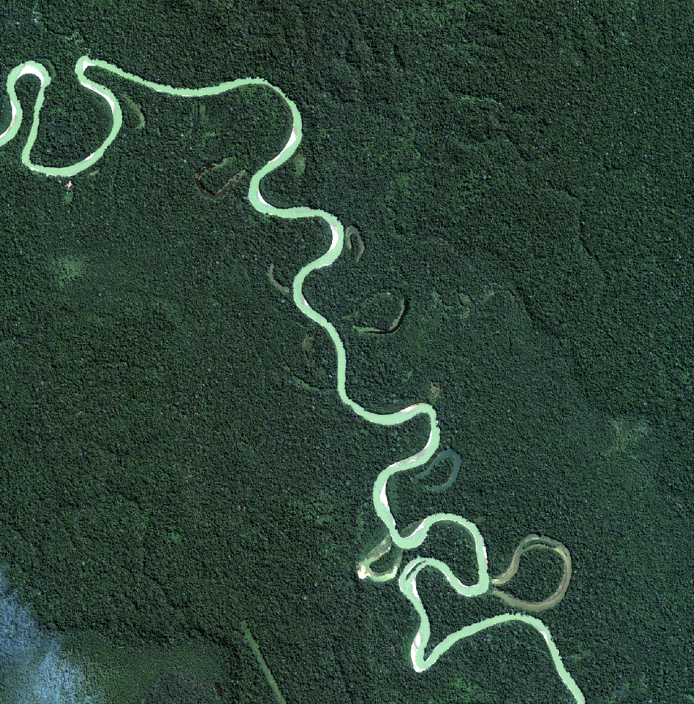 amazonian rainforest