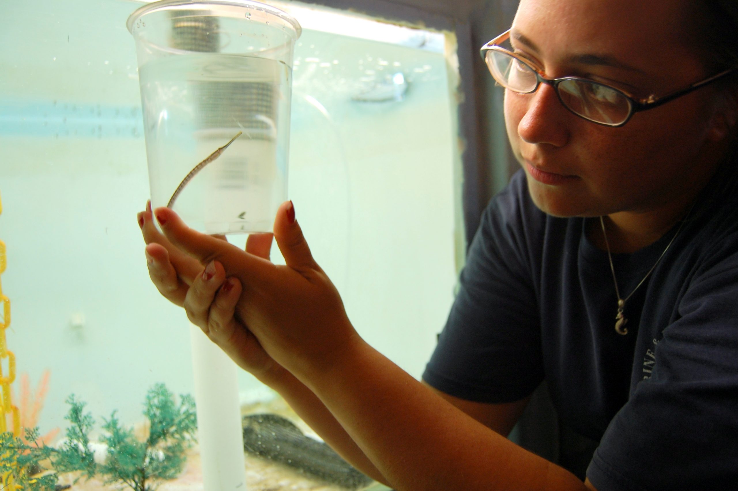aquaculture research