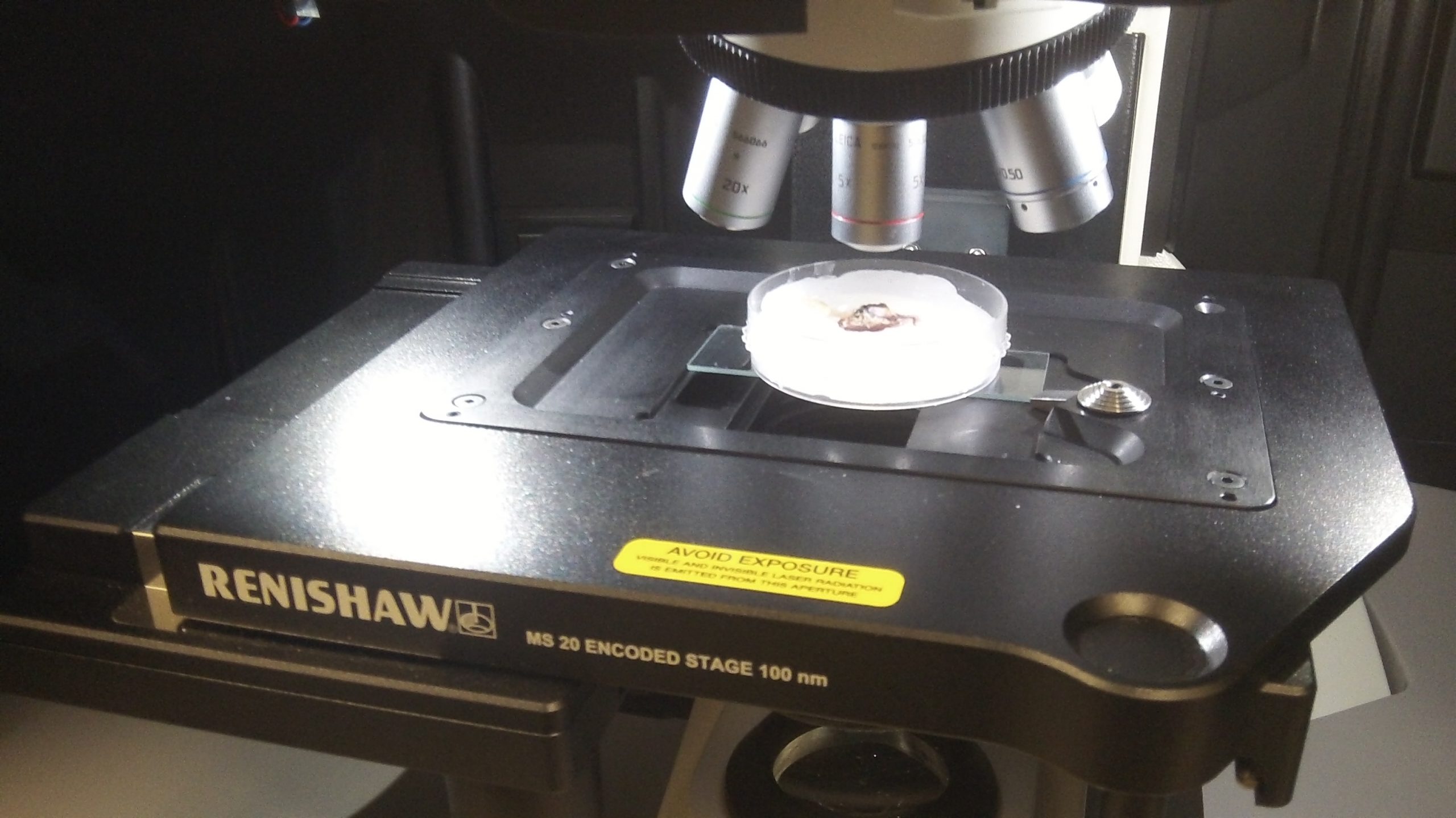renishaw raman microscope