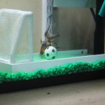 Goldfish Playing Soccer