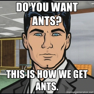 do_you_want_ants