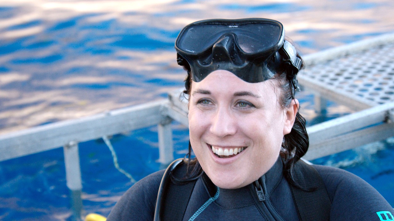 Photo of Shark Biologist Joins Florida Tech Faculty