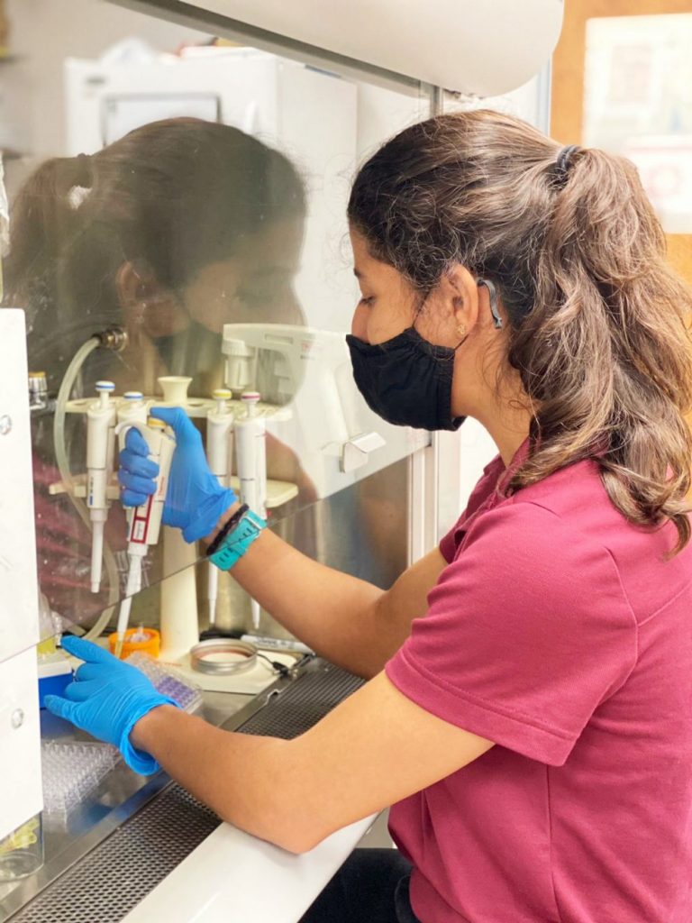 A student conducts research in Dr. Vipuil Kishore's Functional Biomaterials and Tissue Engineering Lab