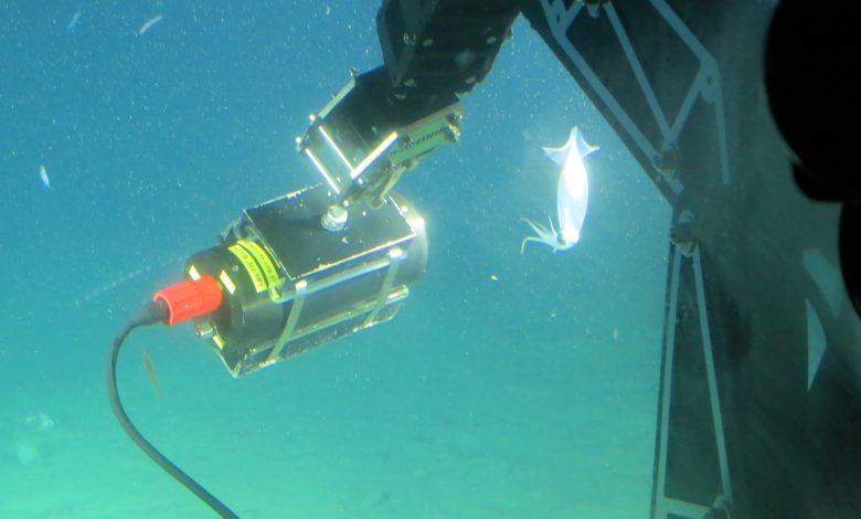 Photo of Alumni Found Underwater Camera and Lighting Company