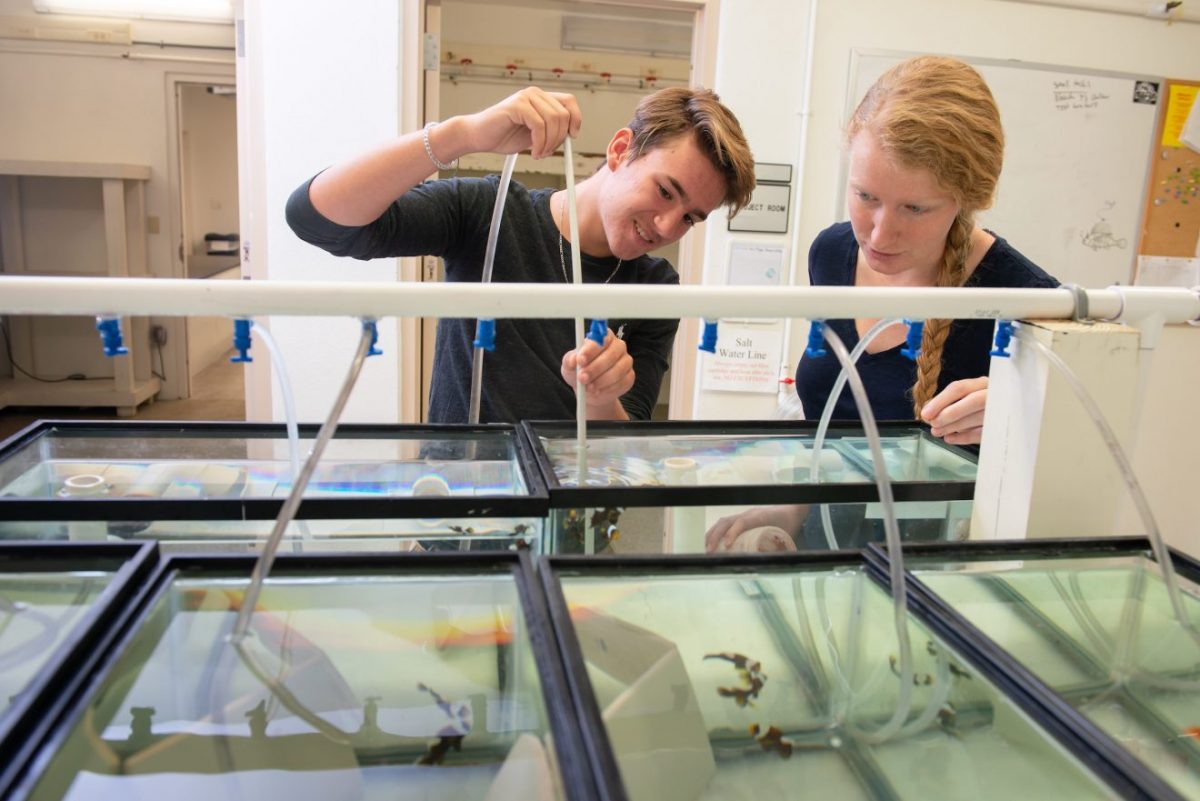 Students work in the aquaculture lab at Florida Tech