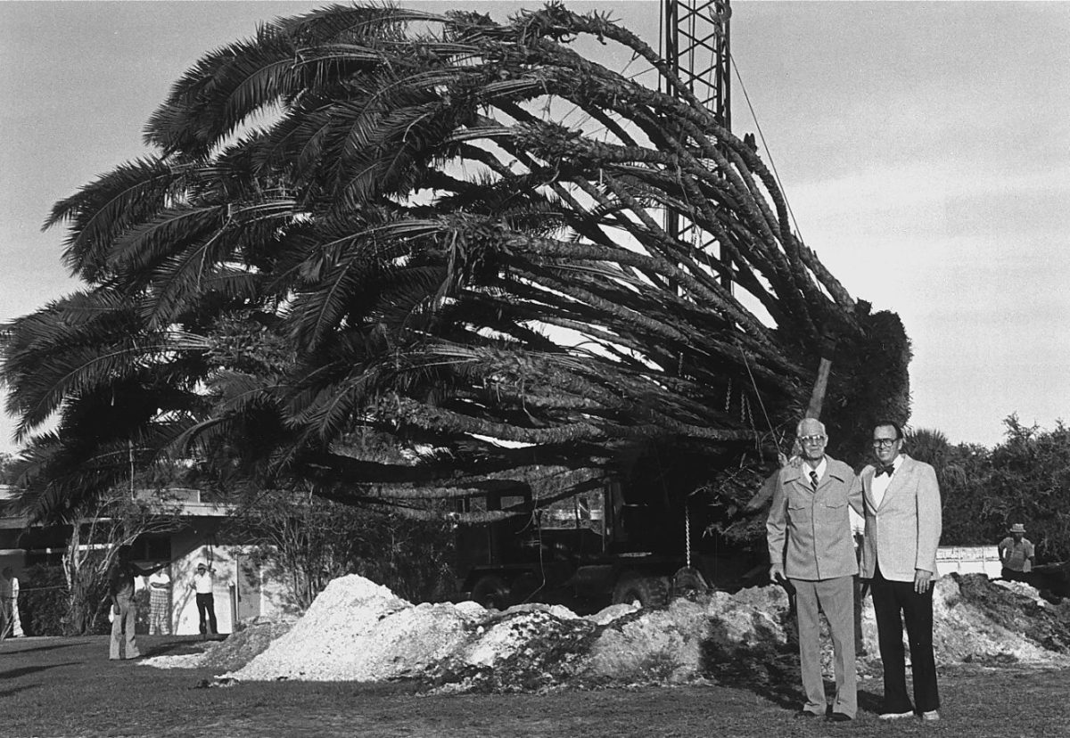 Florida Tech founder and then president Jerome P. Keuper (right) and Norman Lund (left), one of Florida Tech's first trustees, in front of the Phoenix reclinata tree Lund donated to the university