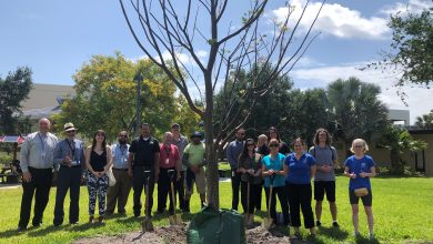 Photo of Florida Tech Marks Arbor Day with Tree Planting