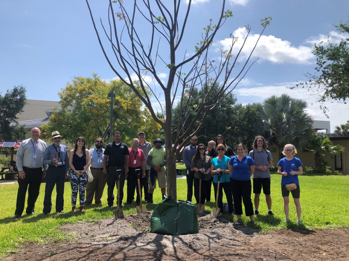 group standing behind a newly planted tree