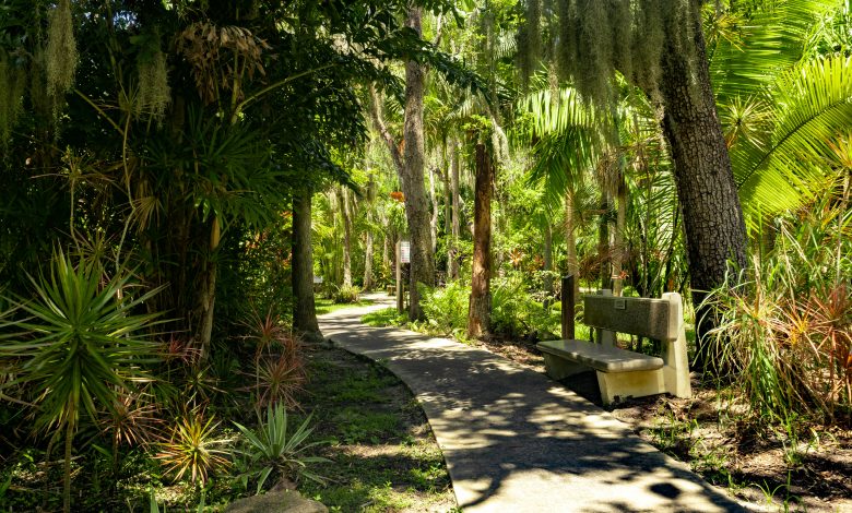 Photo of Secret History: The Origins of Florida Tech’s Botanical Garden