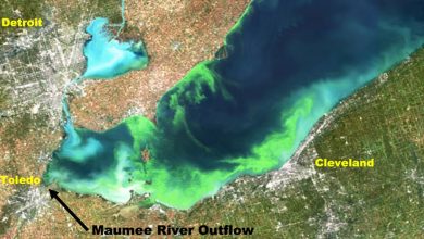 Photo of Machine Learning Using Climatic Pattern Data May Help Predict Harmful Algal Blooms Earlier