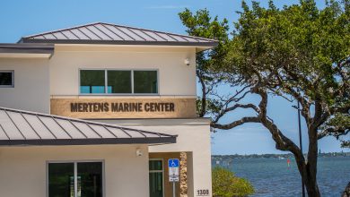 Photo of New Mertens Marine Center Provides Lagoon Access and Lab Space for Students and Faculty