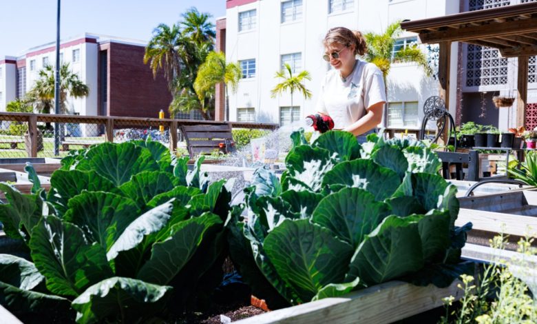 Photo of Florida Tech Named a ‘Green College’ by Princeton Review