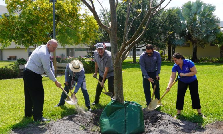 Photo of Florida Tech Earns ‘Tree Campus’ Honor from Arbor Day Foundation
