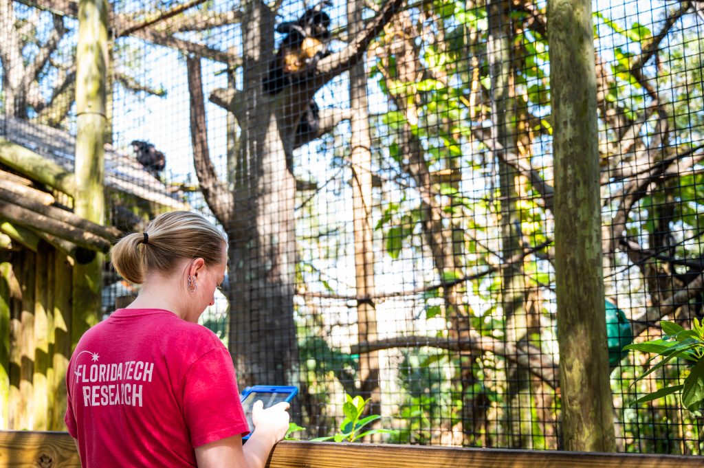 Student researcher Chloe Irelan collects observational data during a recent visit to Brevard Zoo.
