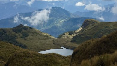 Photo of New Study: Warming, Burning by Humans Altered Andean Ecosystems