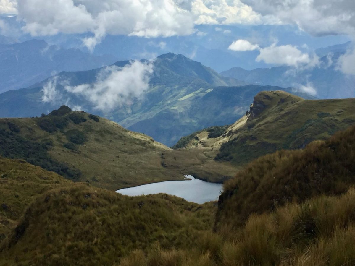New Study: Warming, Burning by Humans Altered Andean Ecosystems