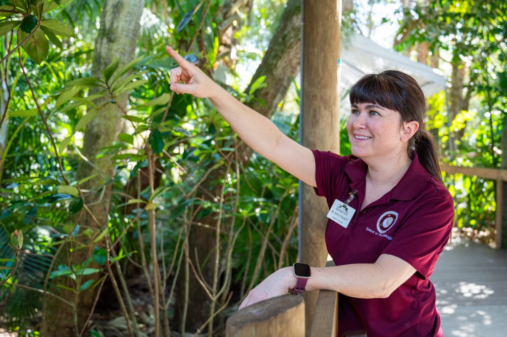 Assistant professor Catherine Talbot working with spider monkeys at the Brevard Zoo.